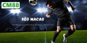 Cách đọc Tỷ lệ kèo Macao