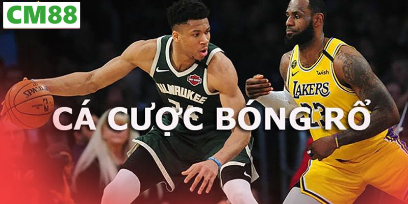 Tại sao Cá cược bóng rổ ngày càng phổ biến