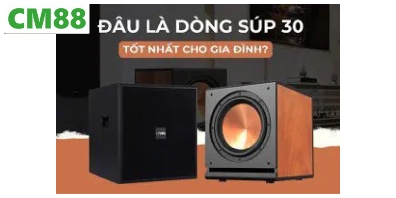 Ứng dụng của loa sub SUIM CM88